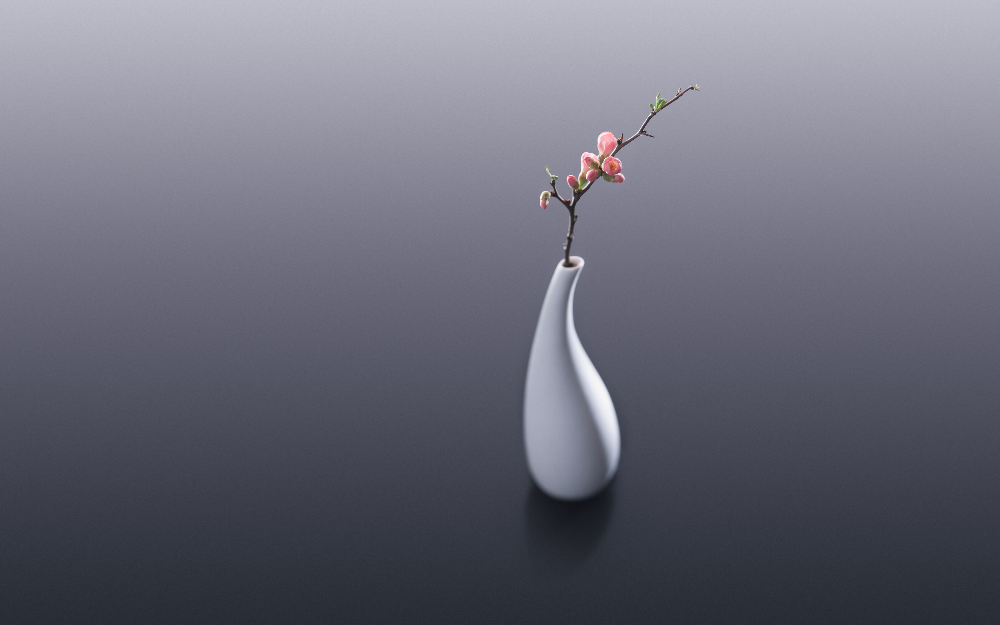 Flower Vase699718044